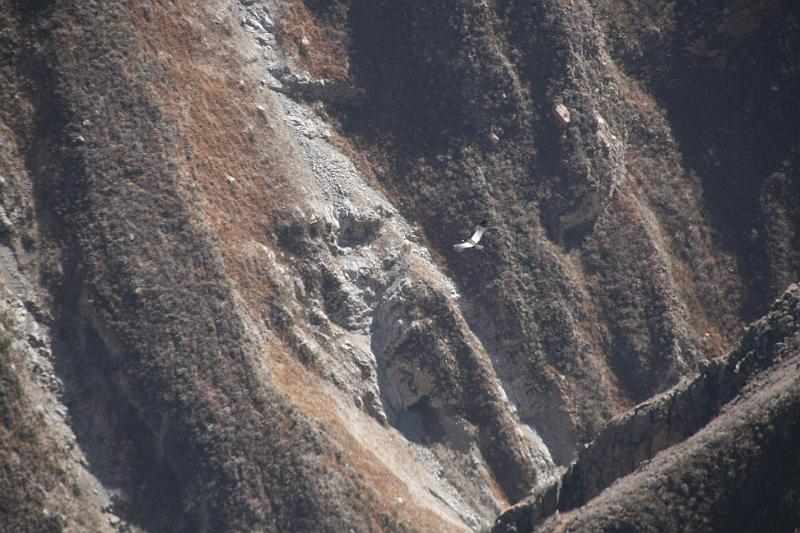 Peru 0843